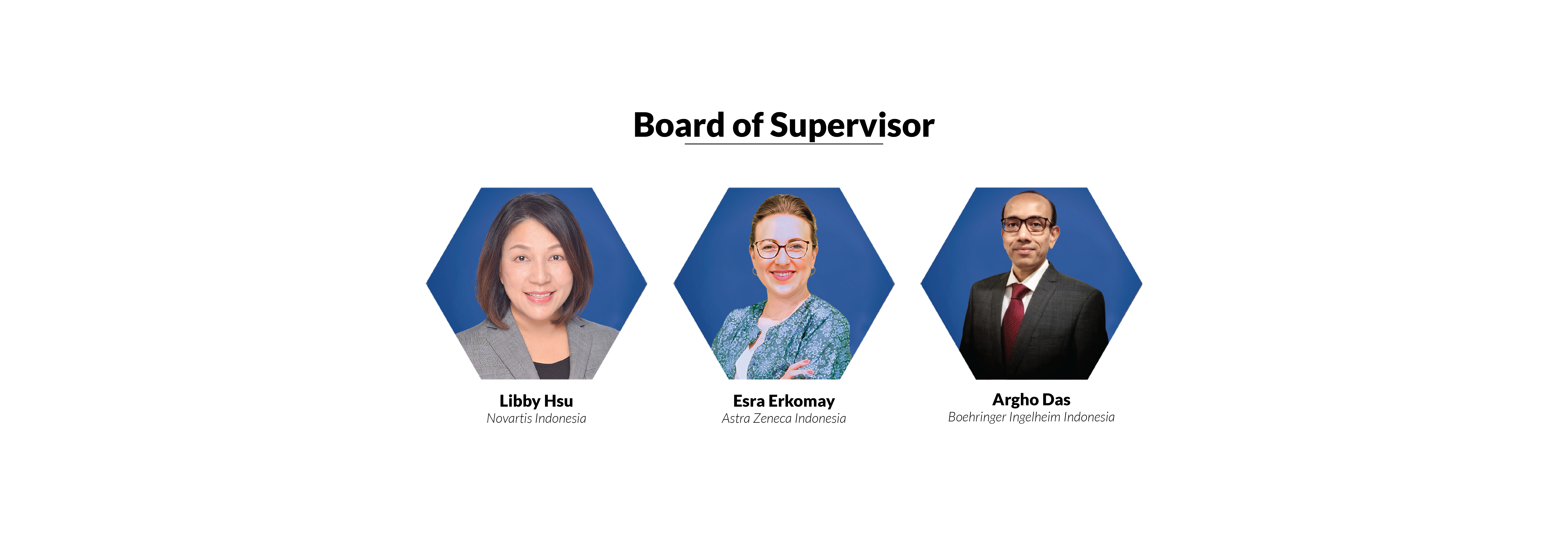 ipmg board of supervisor